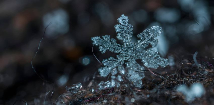 Snowflake Ice Dream Wallpaper