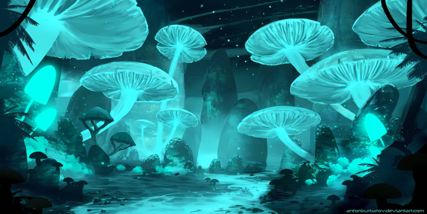Cute Mushroom Wallpaper for a Cozy PC Screen