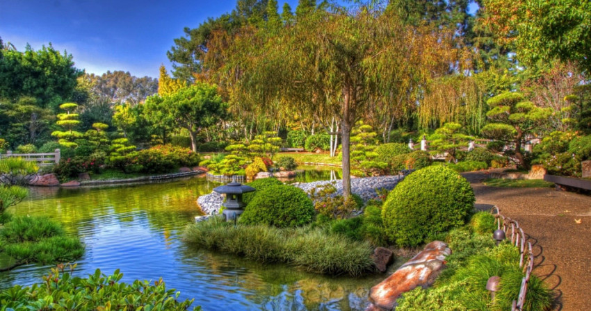 Peaceful Botanical Garden Desktop Wallpaper