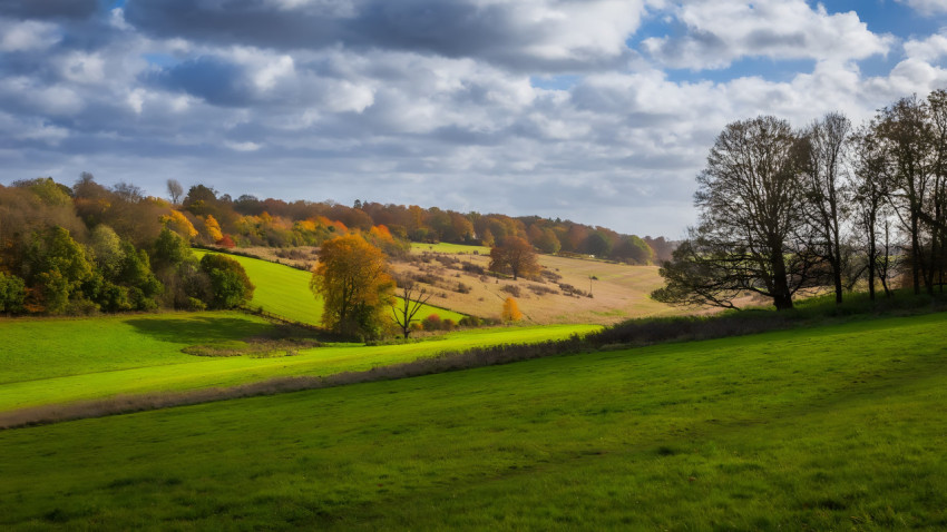 Fresh Green Grass Field Desktop Background