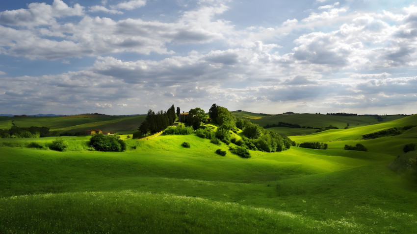 Tranquil Grass Field at Dawn Wallpaper