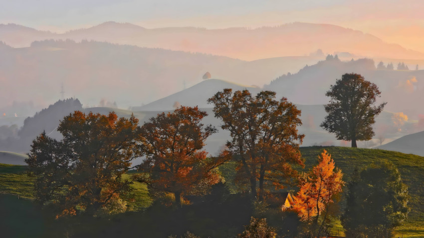 Scenic Fall Hillside for Desktop