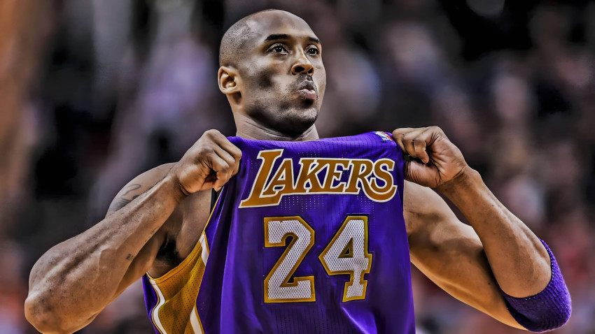 Black Mamba 4K Wallpaper for PC