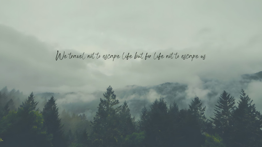 Sage Green Full HD Wallpaper for Desktop