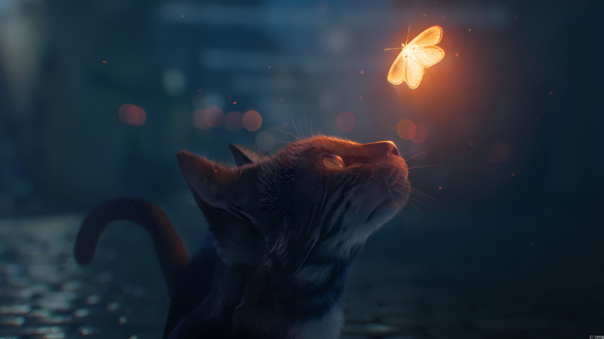Elegant Cat With Butterfly in 4K  Wallpaper