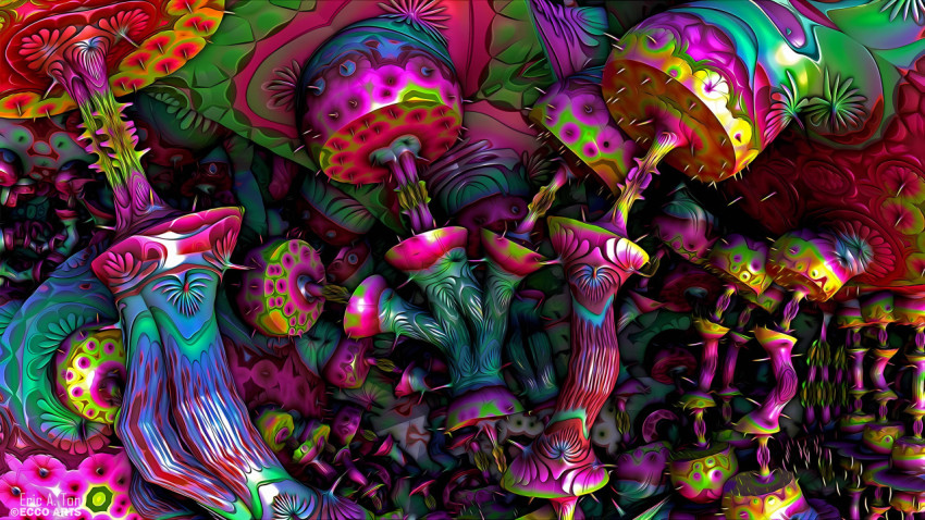 Magical Mushroom Wallpaper for Your Computer Display