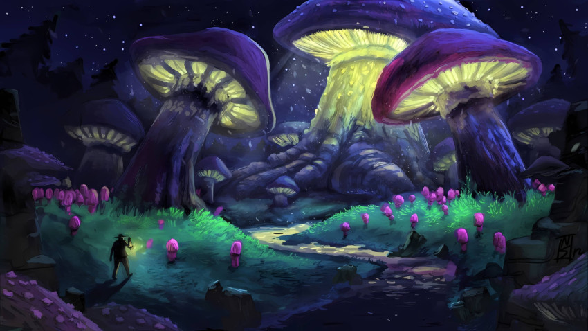 Charming Mushroom Desktop Background for Your PC