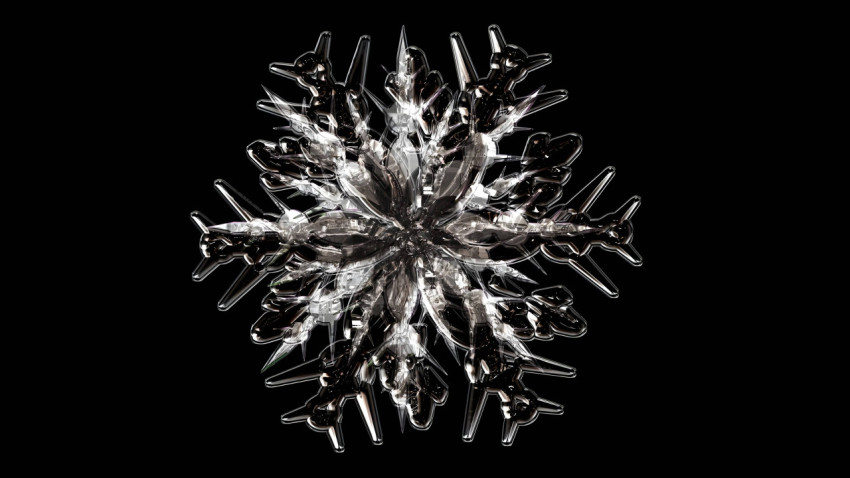 Winter Snowflake Beauty Image