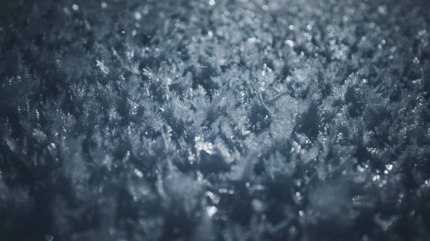 Snowy Snow Flake Wallpaper