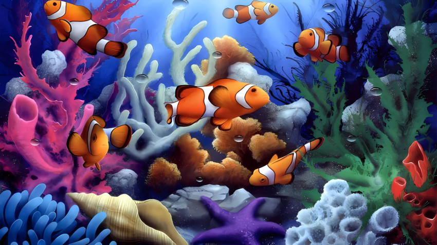 Vibrant Fish Pic to Decorate Your Screen