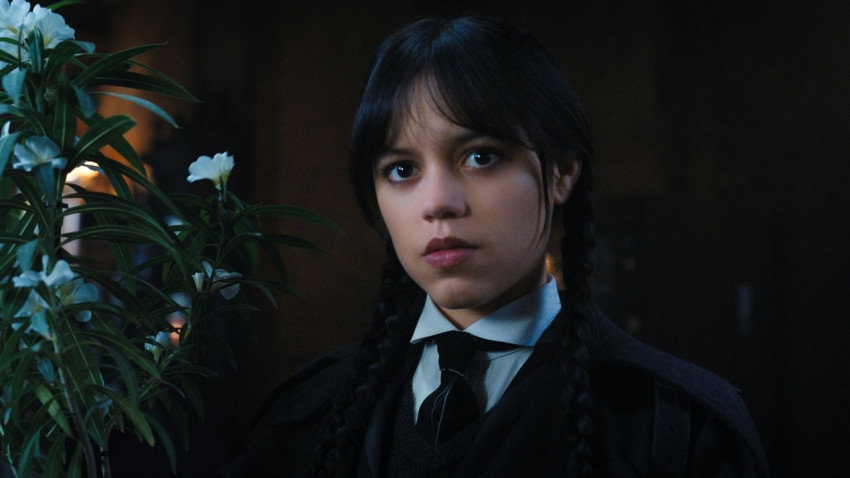 Beautiful Face of Wednesday in 4K