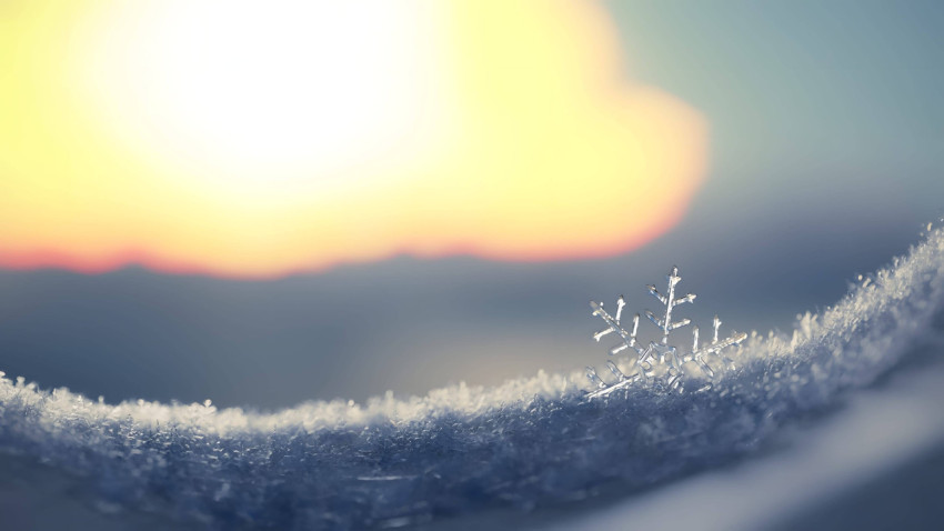 Snowy Snowflake Shine Wallpaper