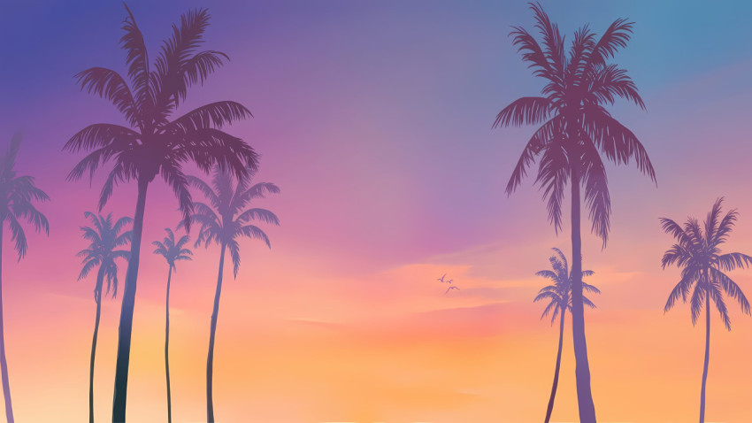 Clear Sky Palm Tree Desktop Wallpaper