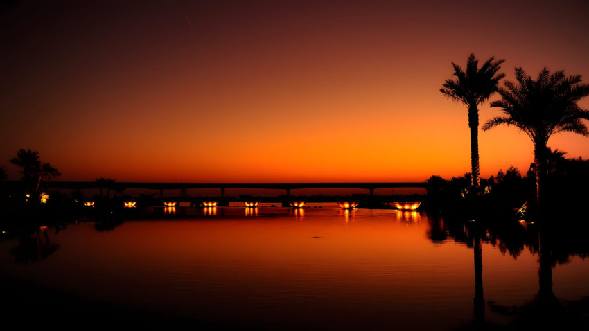 Relaxing Palm Tree Desktop Wallpaper