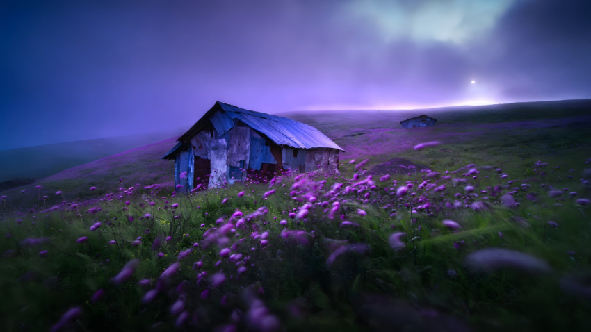 Vibrant Nature Scene Desktop Picture
