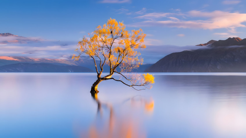 Peaceful Lake Scene Wallpaper
