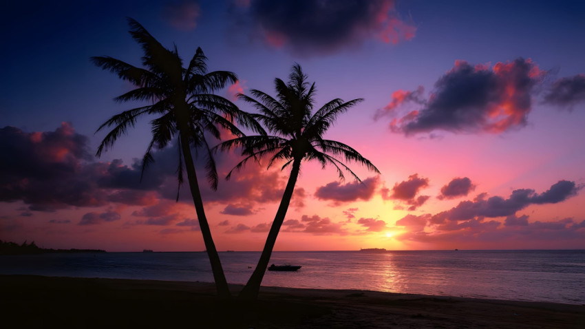 Exotic Palm Tree Desktop Background
