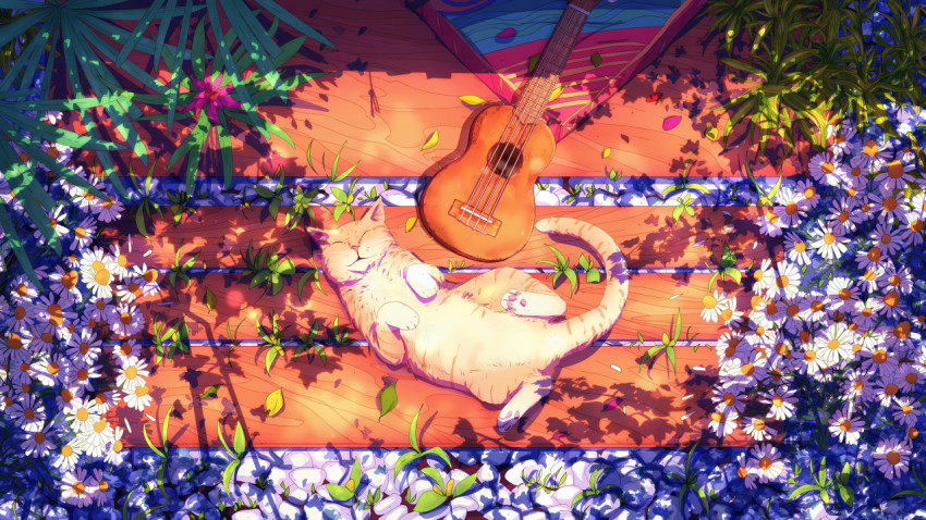 Exotic Cat Photo for Unique Background