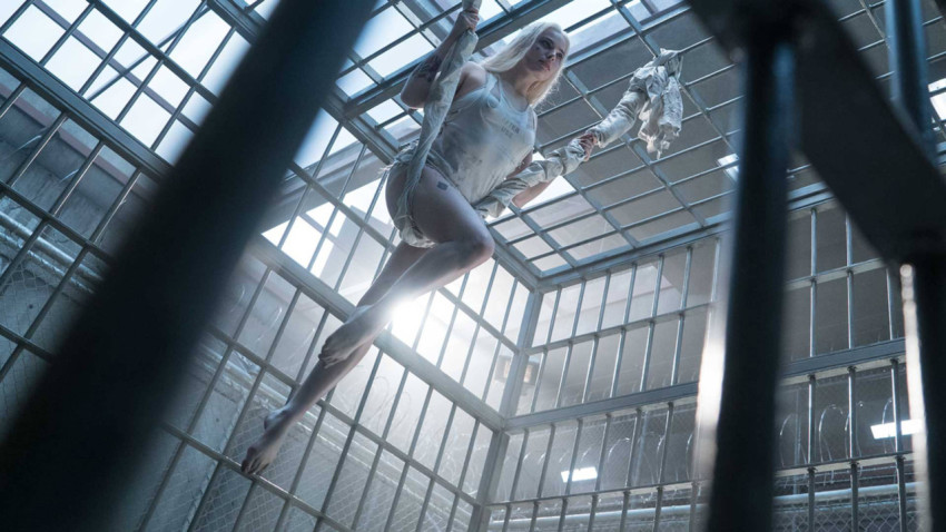 Vibrant Harley Quinn Desktop Photo for Fans