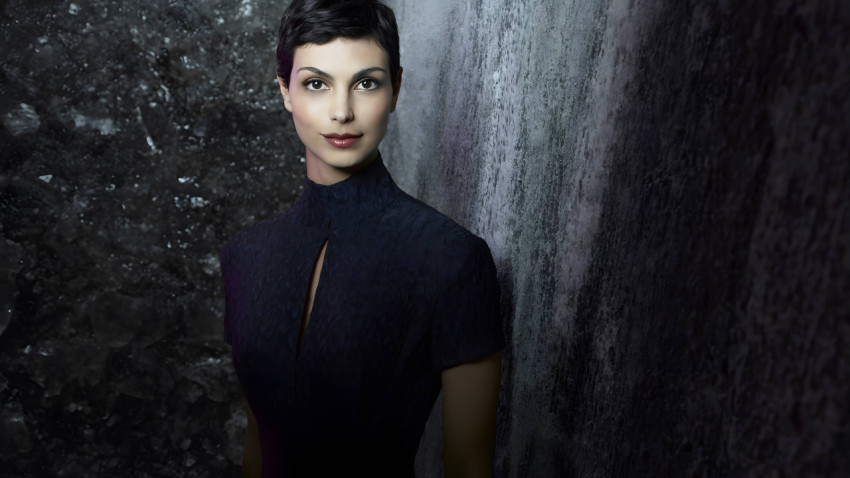 Free Wallpaper of Morena Baccarin 4K Desktop Screen