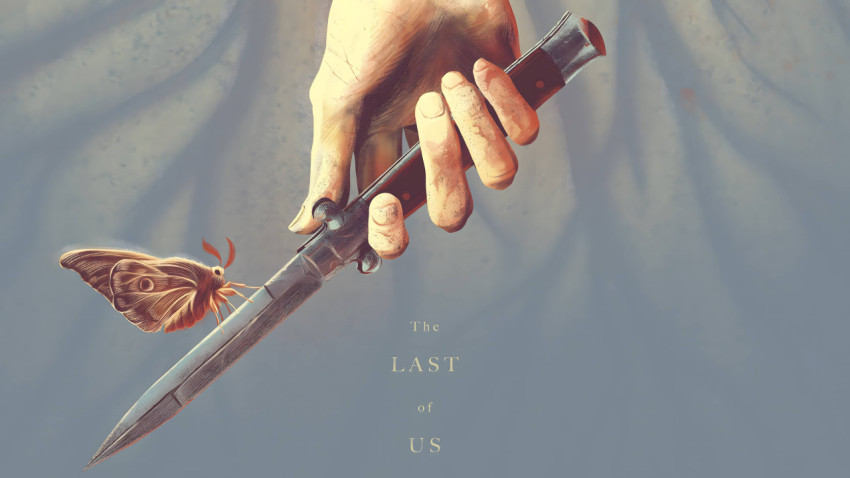 Best Last of Us Photo Background for Your PC