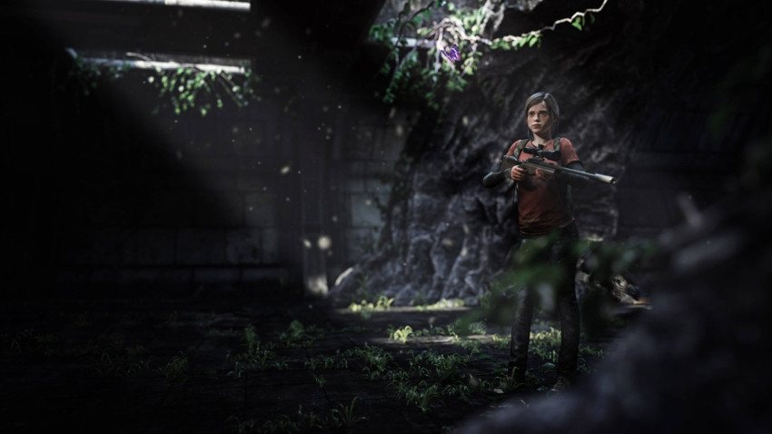 Last of Us HD Photo - Best Wallpaper for Gamer