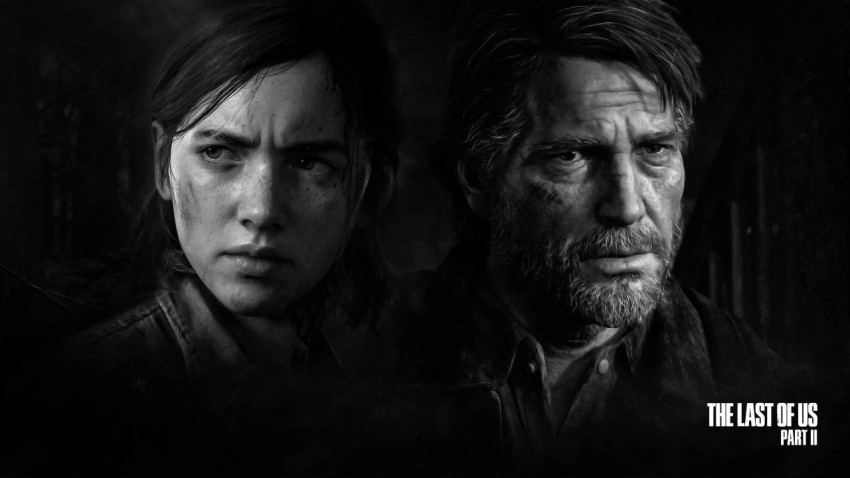 Beautiful Last of Us Wallpaper in High Definition