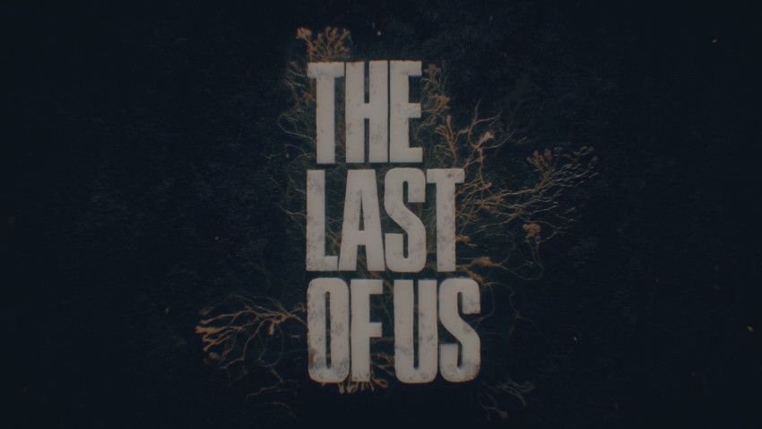 Last of Us 2 Game Wallpaper - Gorgeous Design HD PC Screen