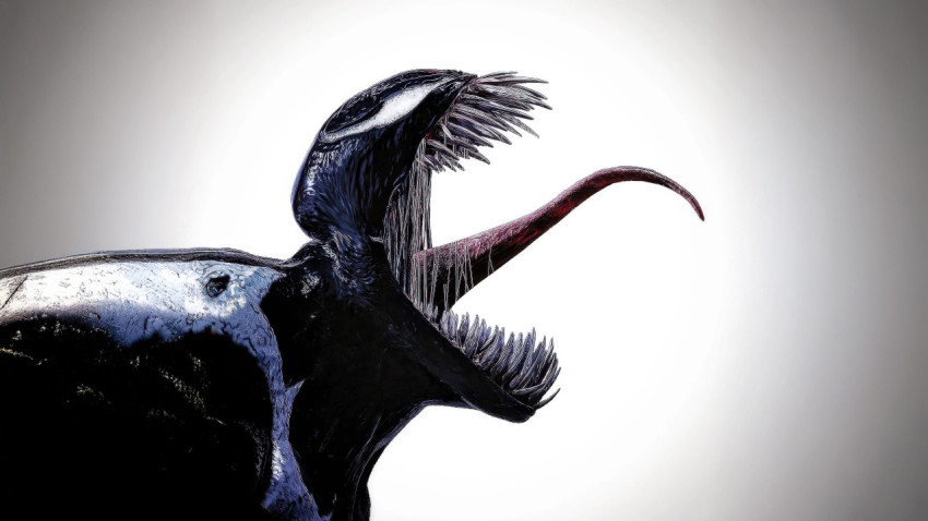 Venom 4K Wallpaper for PC Ultimate Action Lover