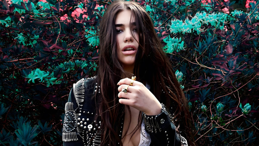 Dua Lipa Wallpaper Art for Music Lover