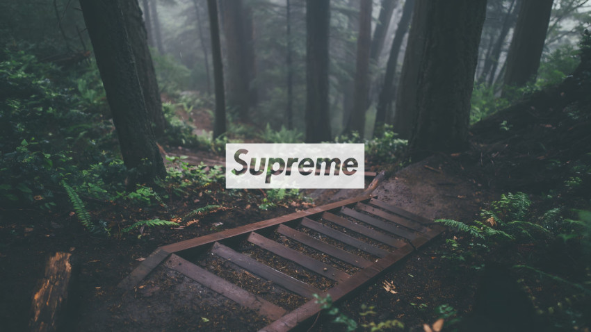Supreme Aesthetic Foggy jungle 4k pc wallpaper