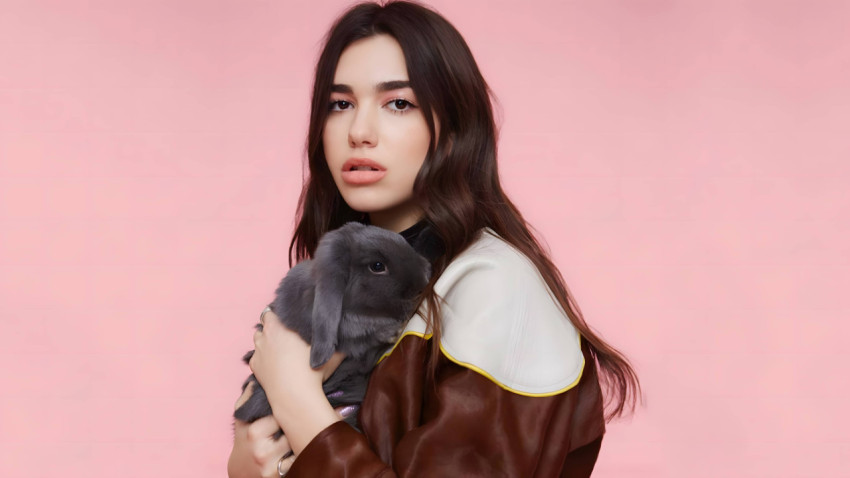 Gorgeous Dua Lipa Image for Your Screen