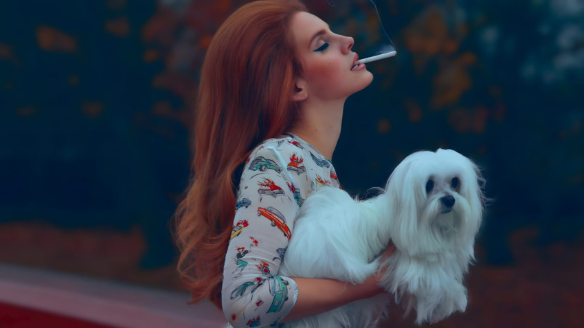 Beautiful Lana Del Rey & her Dog Retro Desktop Wallpaper 4K