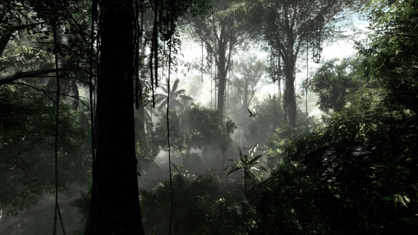 Stunning 4K Jungle Wallpaper for Peaceful Moment