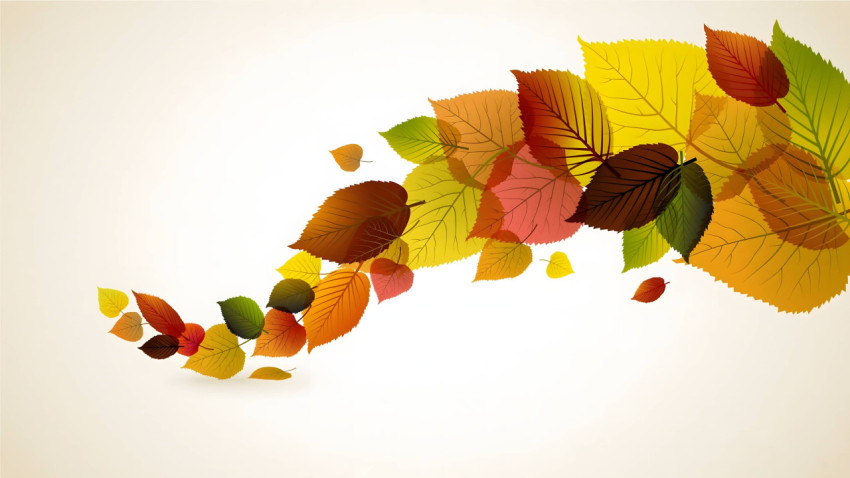 Moody Fall Aesthetic for Computer
