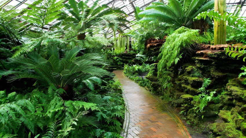 Vibrant Green Botanical Garden Desktop Backgrounds