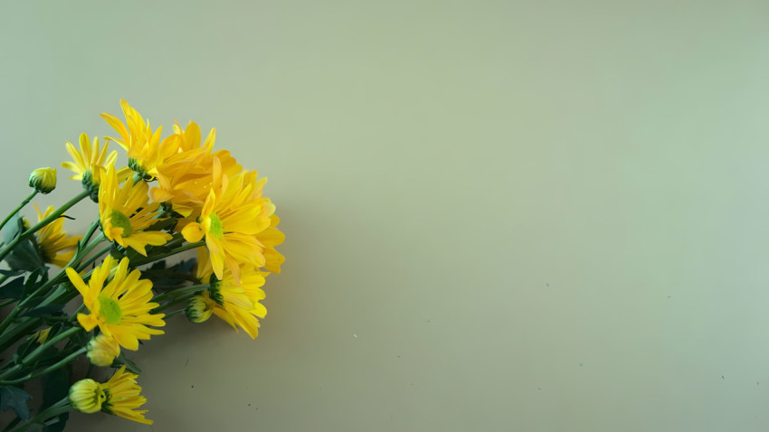 Sage Green Laptop Wallpaper Download