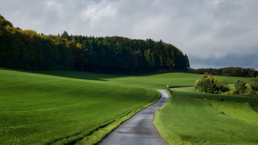 Lush Pasture Grass Desktop Background