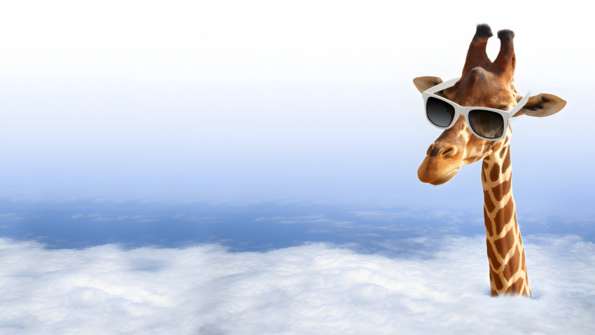 Goofy Ahh Giraffe Picture for Fun Computer Screen 4K