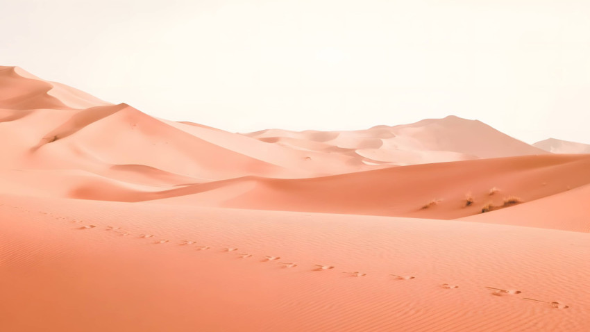 Beautiful Desert Twilight for Wallpaper