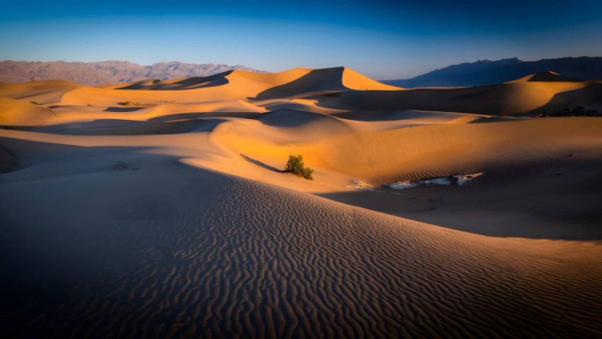 Desert Sky and Sand at Golden Hour Wallpaper
