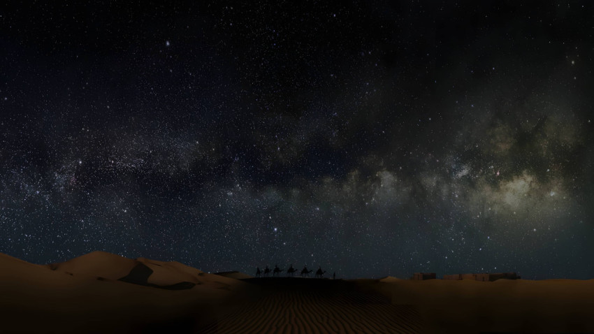 Desert Night Sky Star with Palm Wallpaper Image