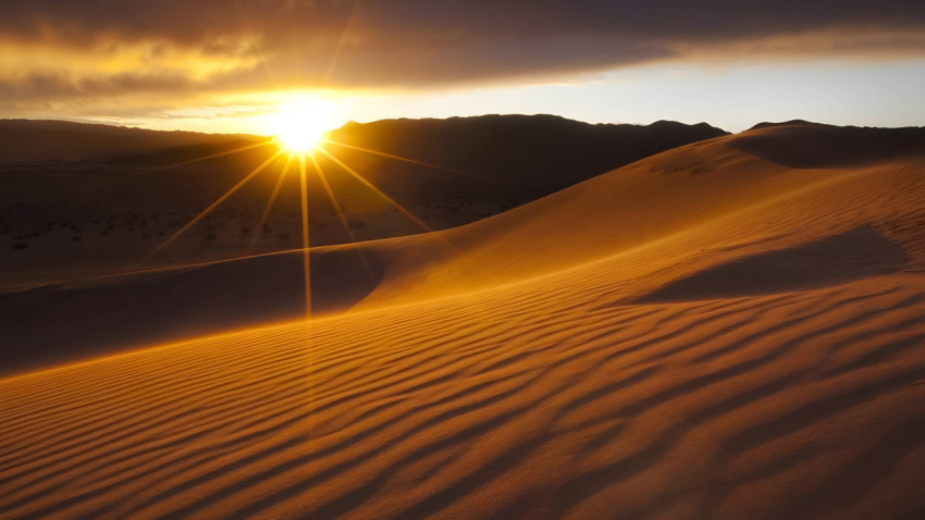 Golden Desert Sand at Dawn Desktop Wallpaper