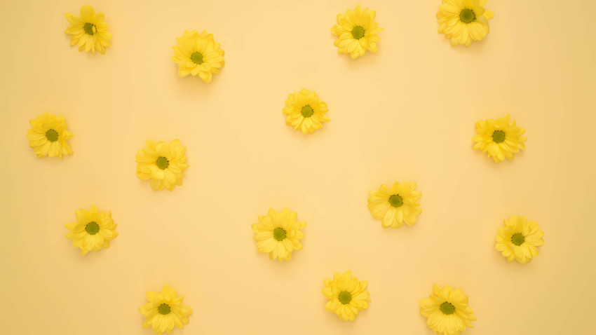 Aesthetic Yellow PC Image for Fresh Look