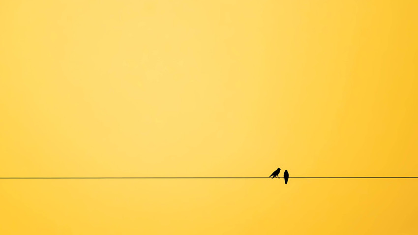 Dreamy Yellow Aesthetic Desktop Photo for Computer