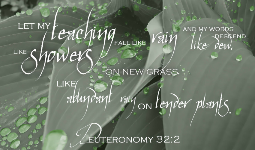 Encouraging Bible Verses to Comfort Your Soul for PC