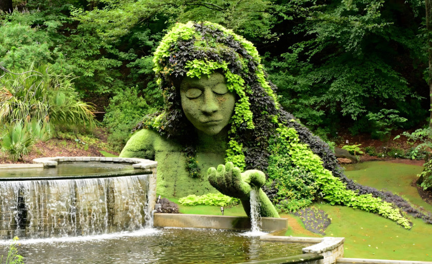 Stunning Nature Botanical Garden Desktop Wallpaper