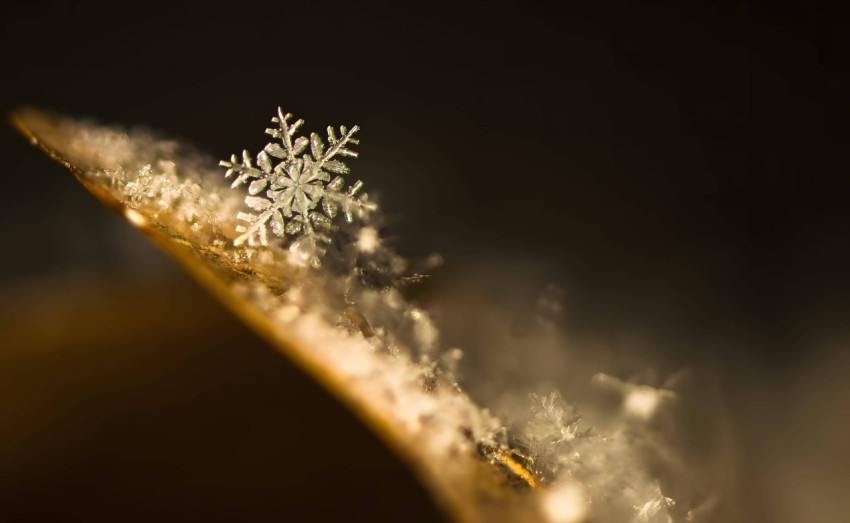 Snowy Snowflake Dream Wallpaper