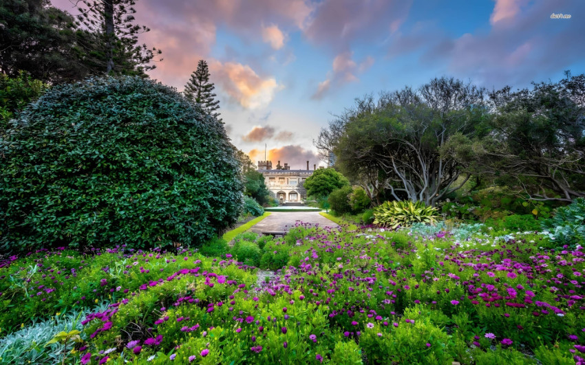 Peaceful Pathway Desktop Garden Wallpaper