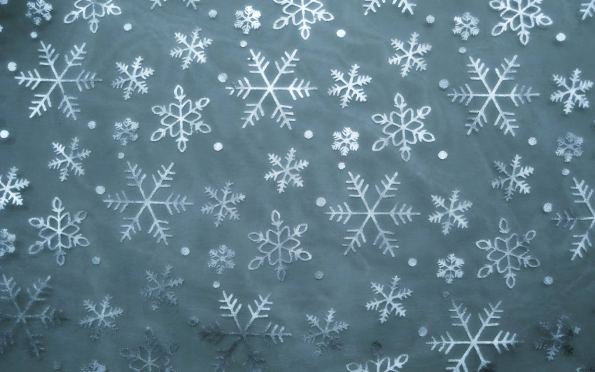 Snowflake Frost Art Photo
